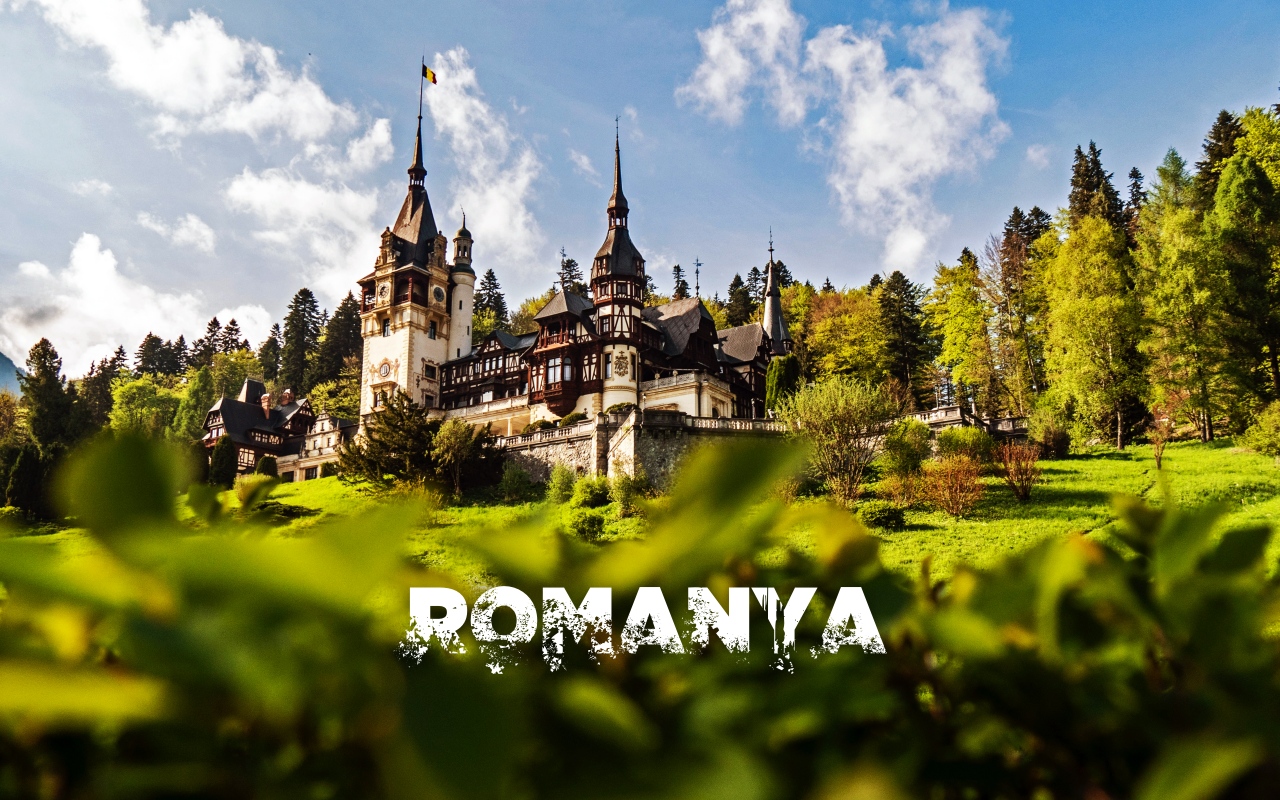 Romanya Avrupa Dayanışma Programı Projesi