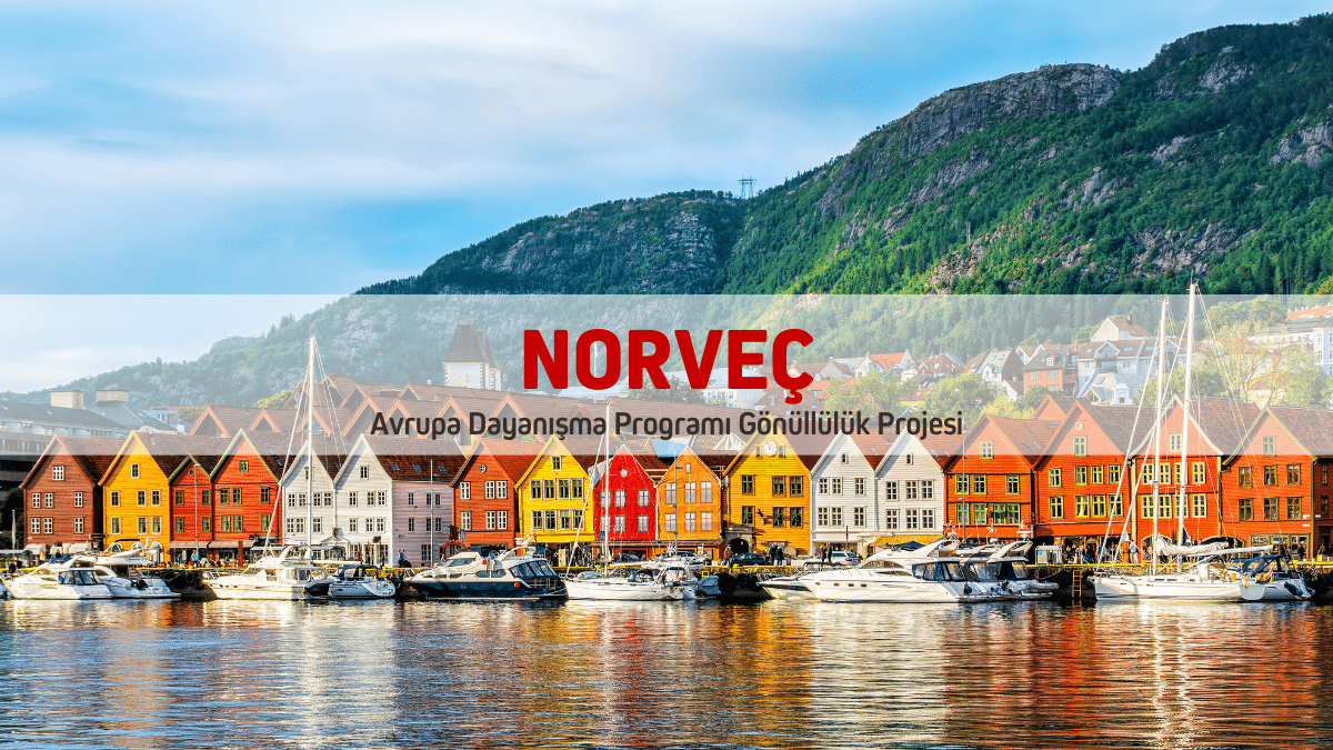 Norveç Avrupa Dayanışma Programı Gönüllülük Projesi 